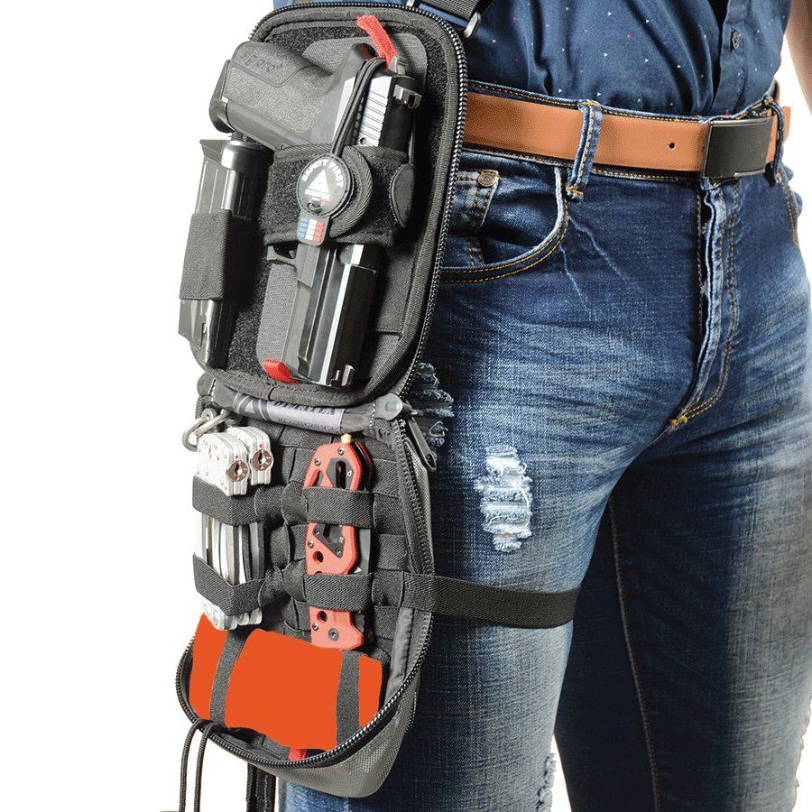 bronx-ng-coyote (1).jpg