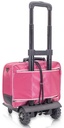 EB01.009_COMMUNITY Pflegetasche_rosa_Trolley.jpg