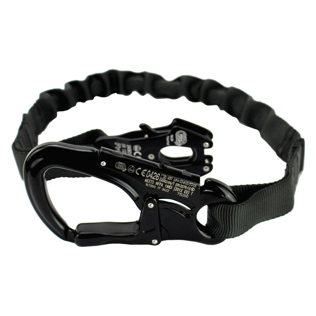 Zentauron Tango Frog Lanyard