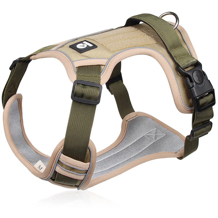 Brustgeschirr für Hunde mit Leine