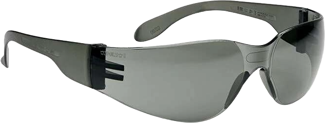 Bollé Safety Schutzbrille BL100
