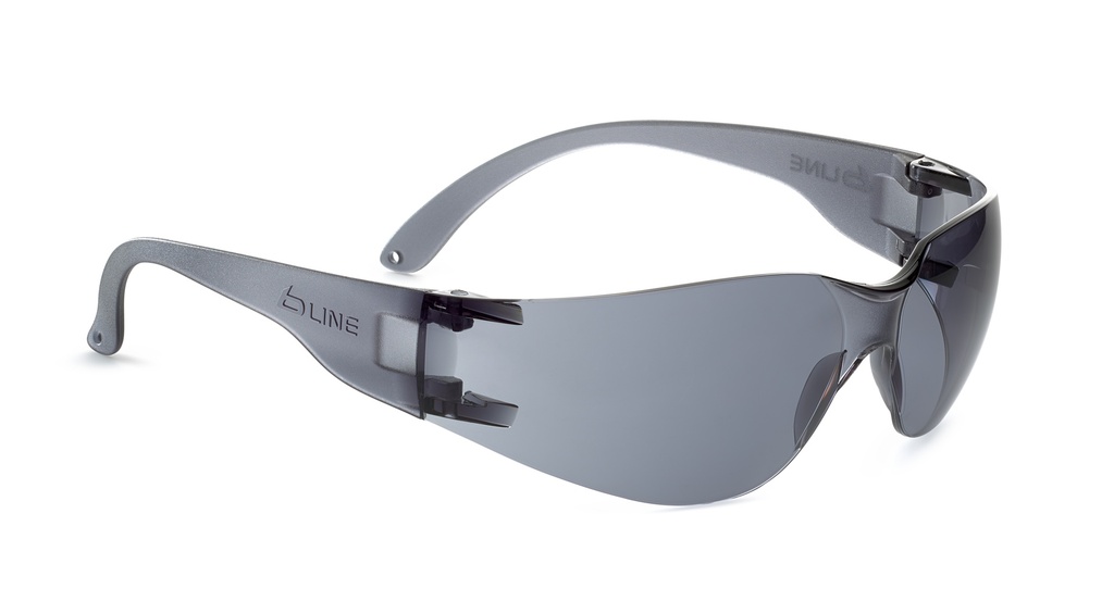 Bollé Safety Schutzbrille BL30
