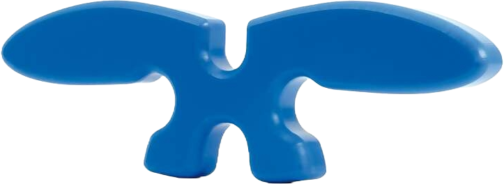 CosiMed Richelli´s Spinemover