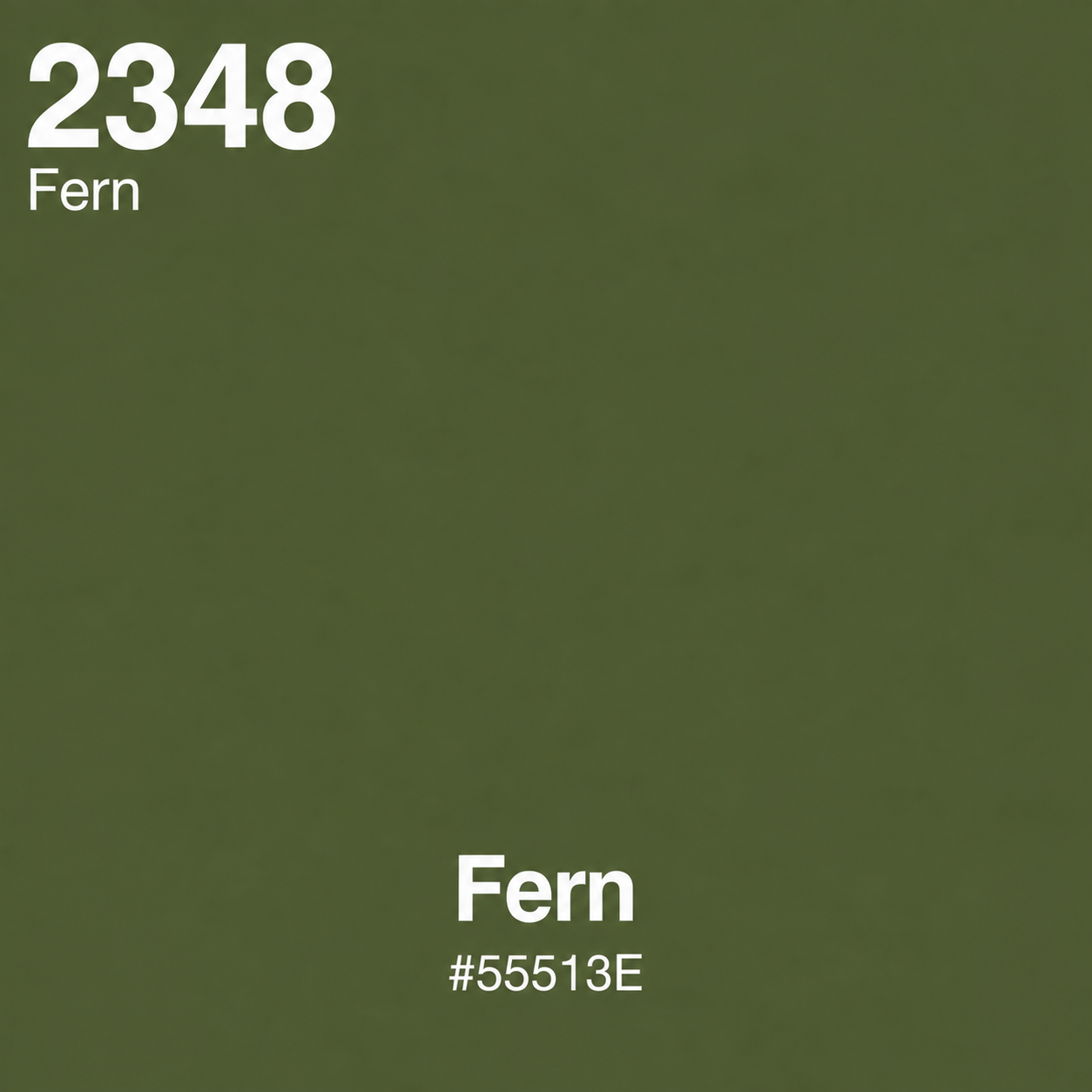 Barco-Farben: 2348 Fern / Dunkles Olivgrün