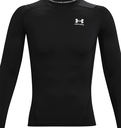Under Armour Heatgear Long Sleeve